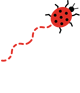 lady bug