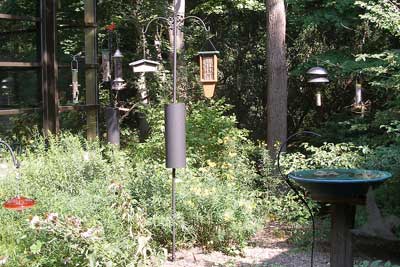 Bird garden