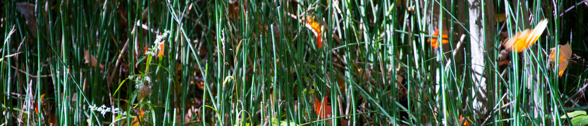 100912-92-banner 100912-92-banner