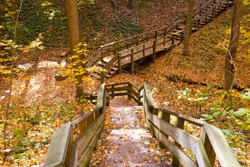 PLAN YOUR VISIT – Friends of Holliday Park